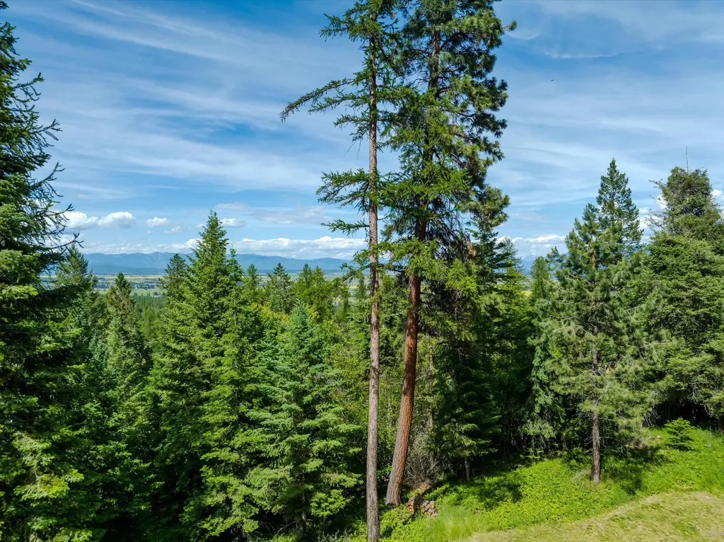 295 Wildlife Trail Kalispell MT 59901