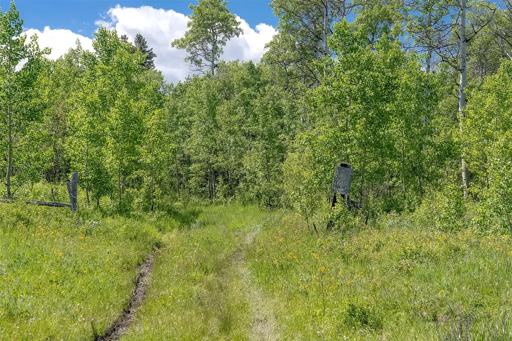 Nhn Heart Butte Cutoff Road East Glacier Park MT 59434