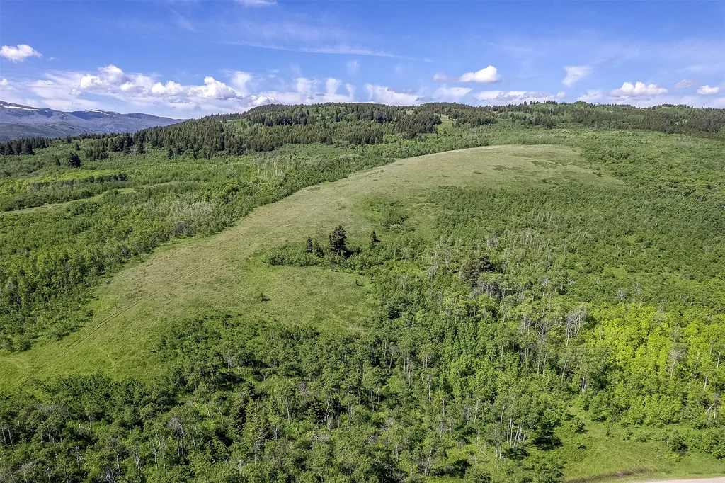 Nhn Heart Butte Cutoff Road East Glacier Park MT 59434