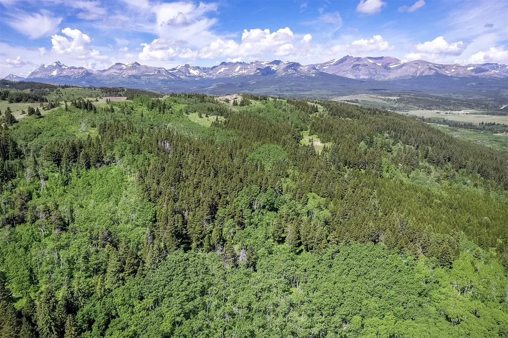 Nhn Heart Butte Cutoff Road East Glacier Park MT 59434
