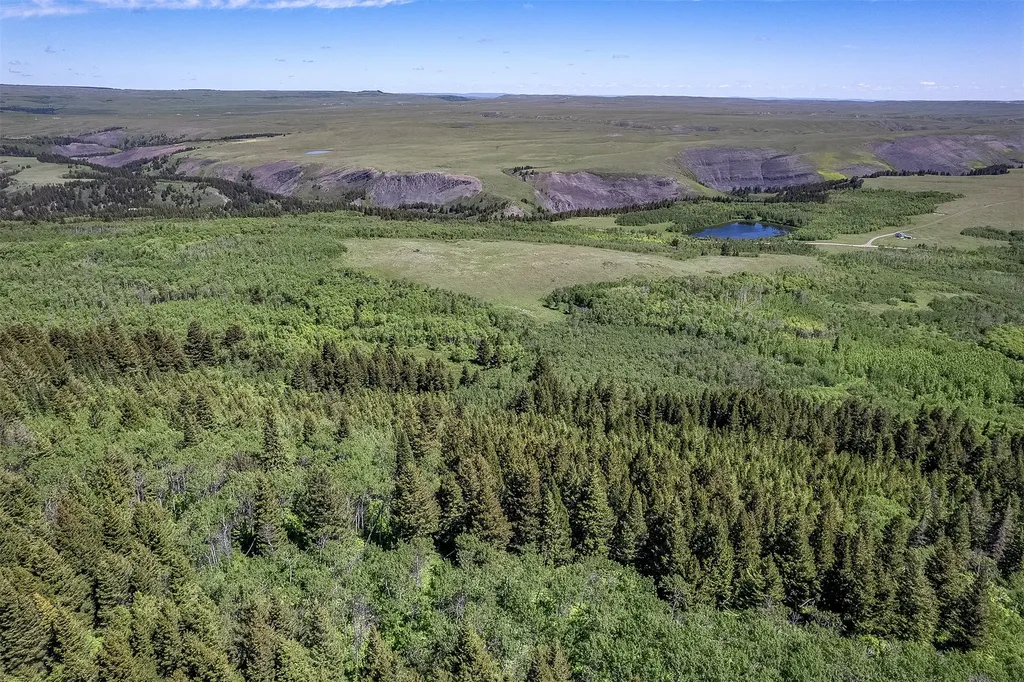 Nhn Heart Butte Cutoff Road East Glacier Park MT 59434