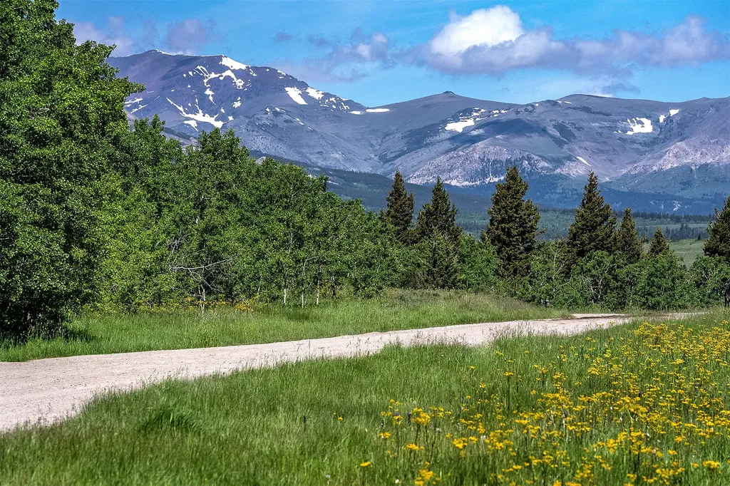 Nhn Heart Butte Cutoff Road East Glacier Park MT 59434