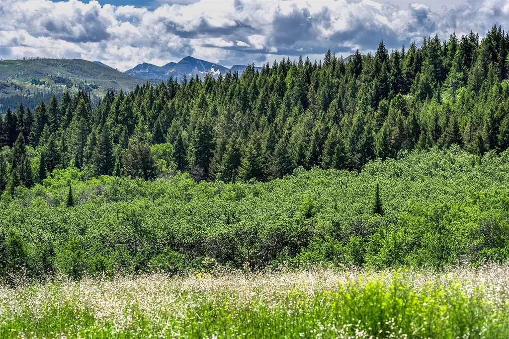 Nhn Heart Butte Cutoff Road East Glacier Park MT 59434