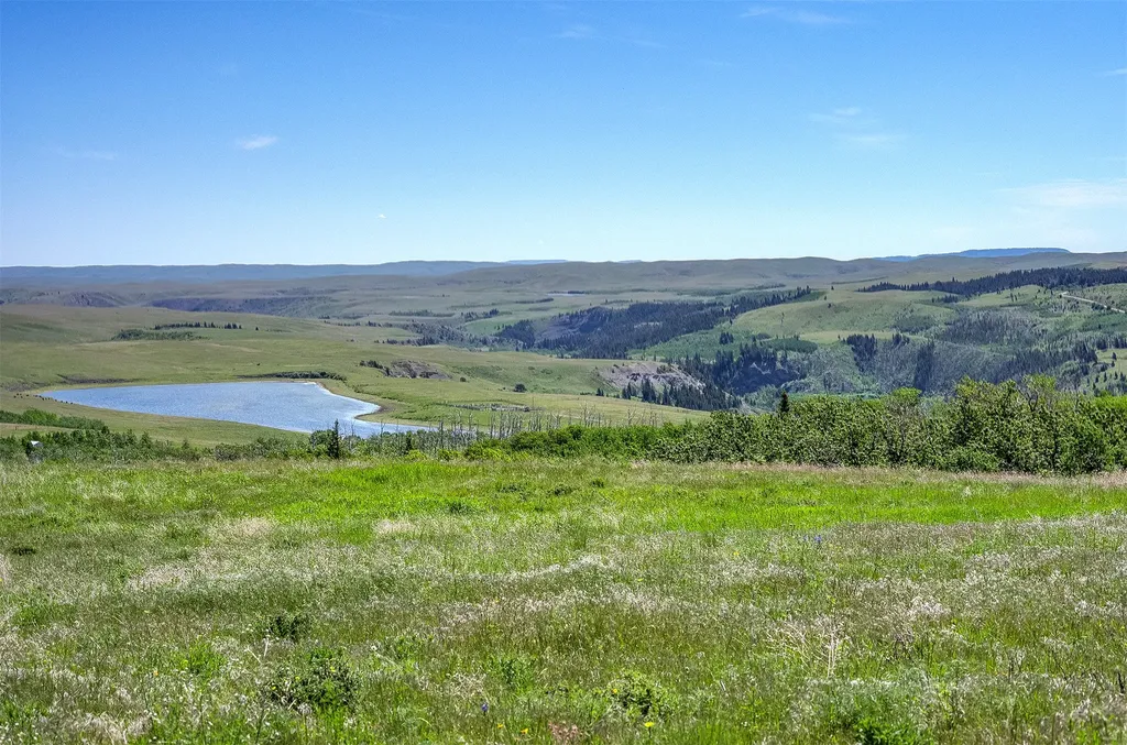 Nhn Heart Butte Cutoff Road East Glacier Park MT 59434