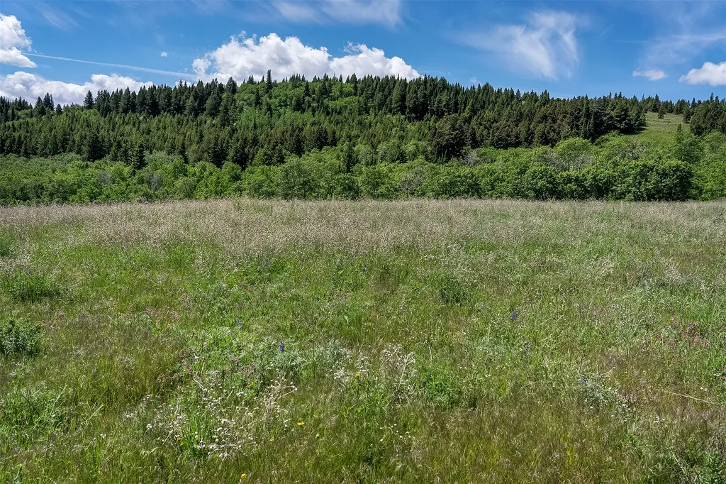 Nhn Heart Butte Cutoff Road East Glacier Park MT 59434