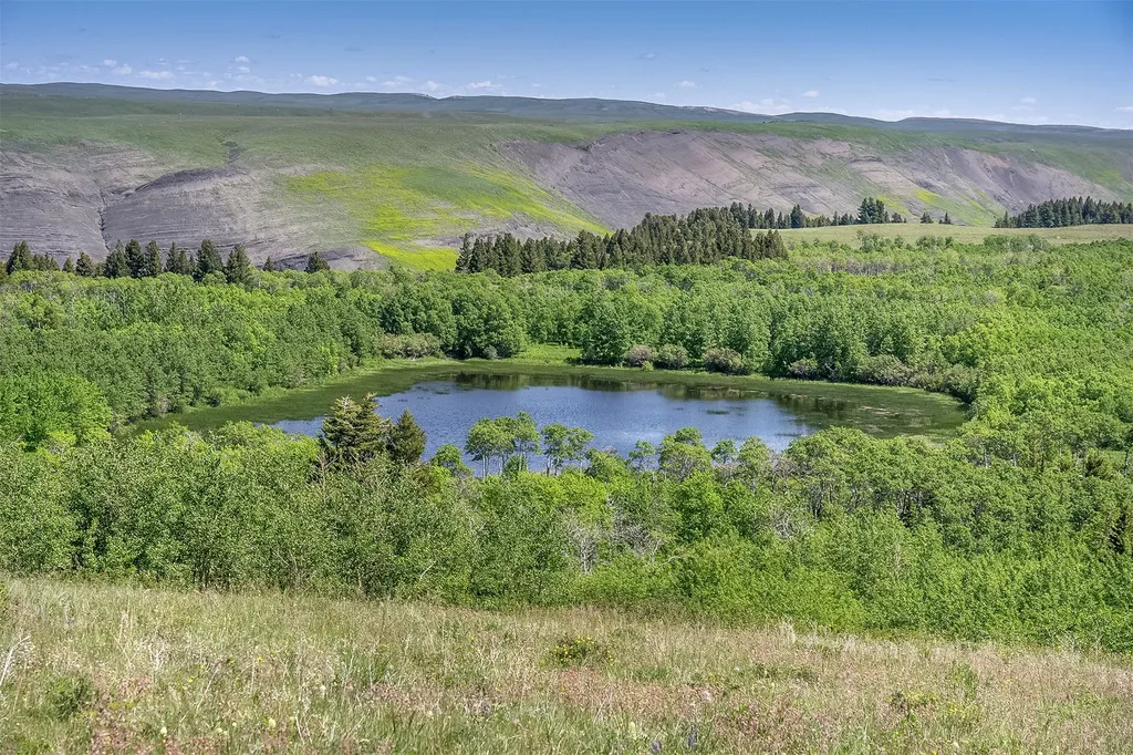 Nhn Heart Butte Cutoff Road East Glacier Park MT 59434