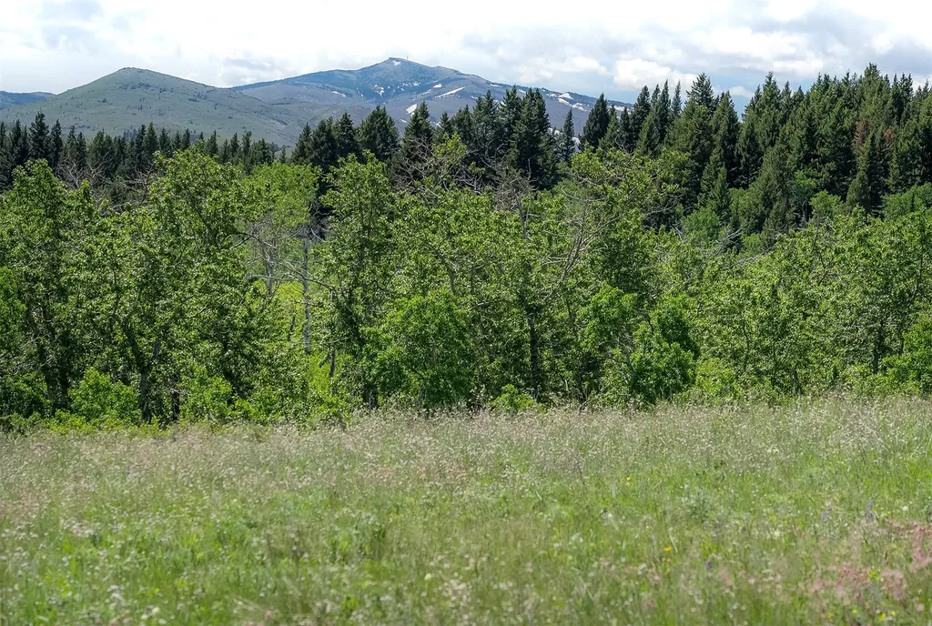 Nhn Heart Butte Cutoff Road East Glacier Park MT 59434