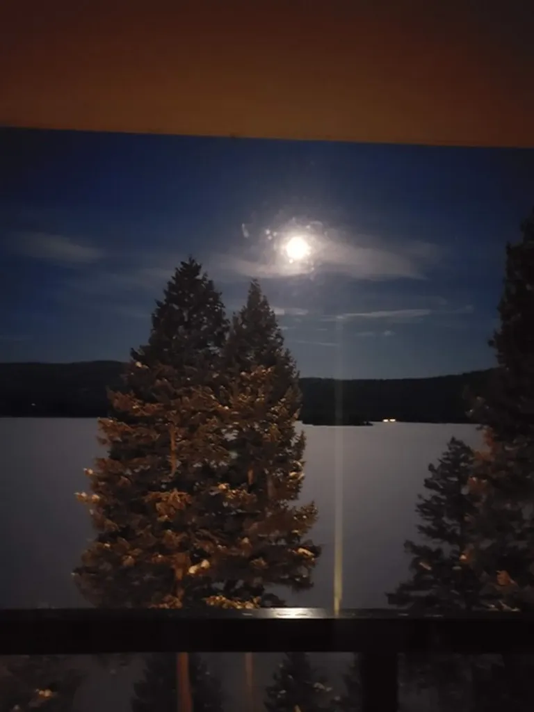 80 Bitterroot Cove Court Marion MT 59925