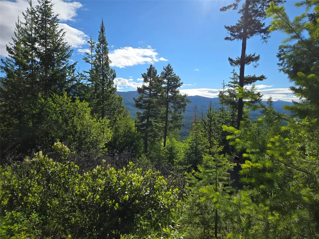 11 Nine Mile Road Huson MT 59846