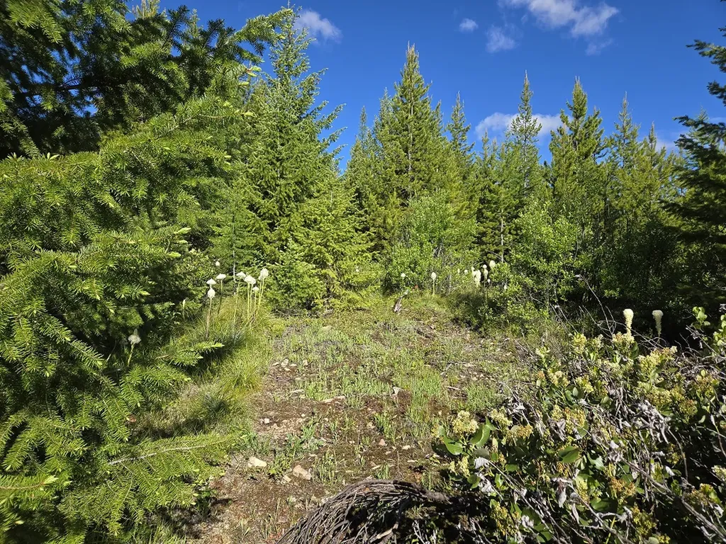 11 Nine Mile Road Huson MT 59846