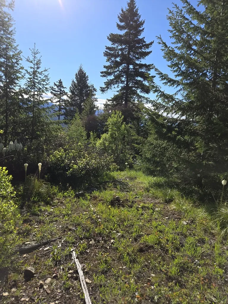 11 Nine Mile Road Huson MT 59846