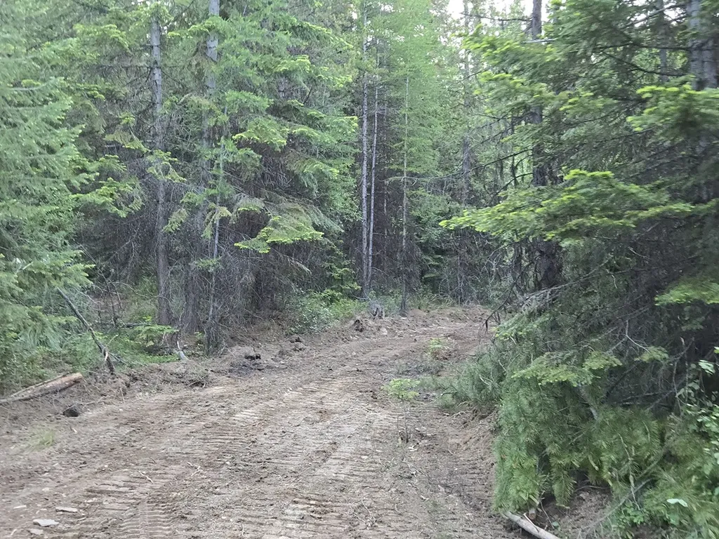 11 Nine Mile Road Huson MT 59846