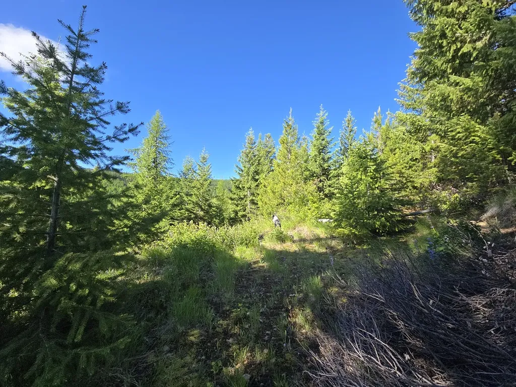 11 Nine Mile Road Huson MT 59846