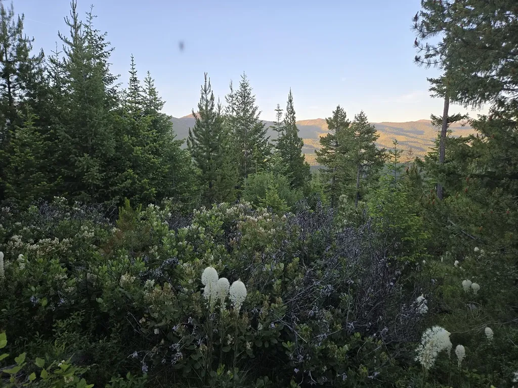 11 Nine Mile Road Huson MT 59846