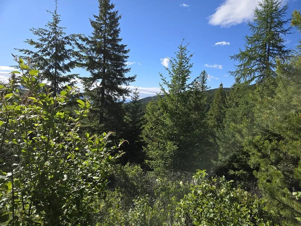 11 Nine Mile Road Huson MT 59846