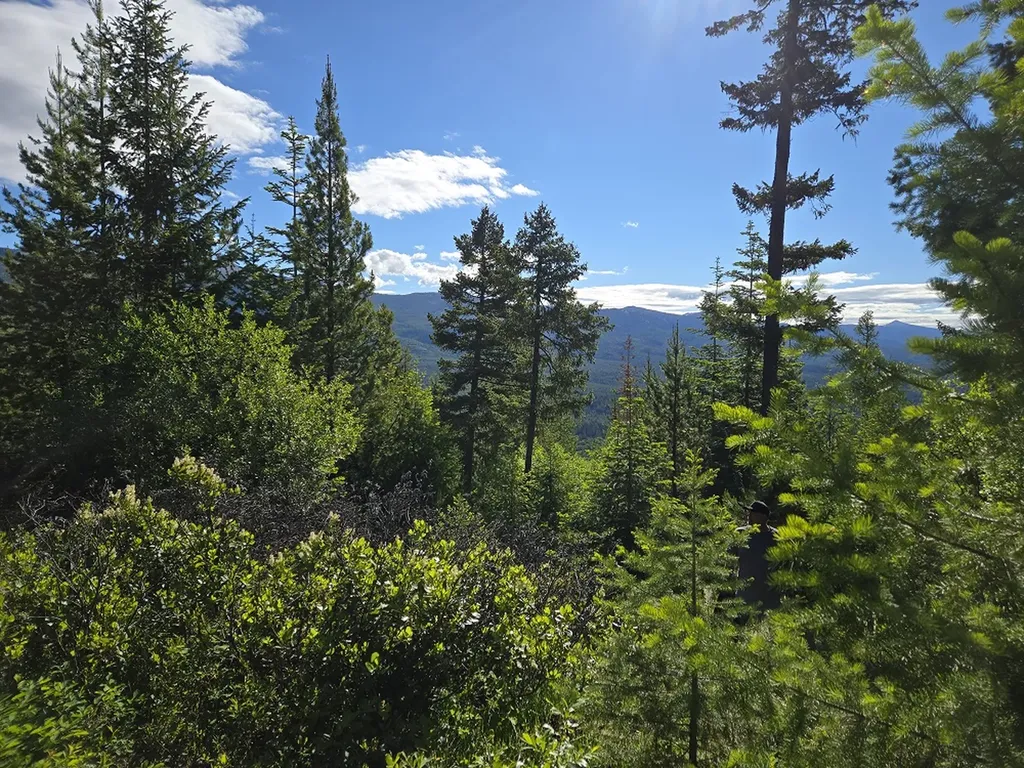 11 Nine Mile Road Huson MT 59846