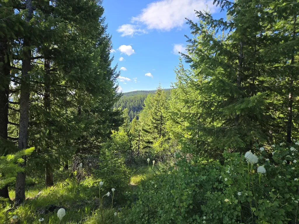 11 Nine Mile Road Huson MT 59846