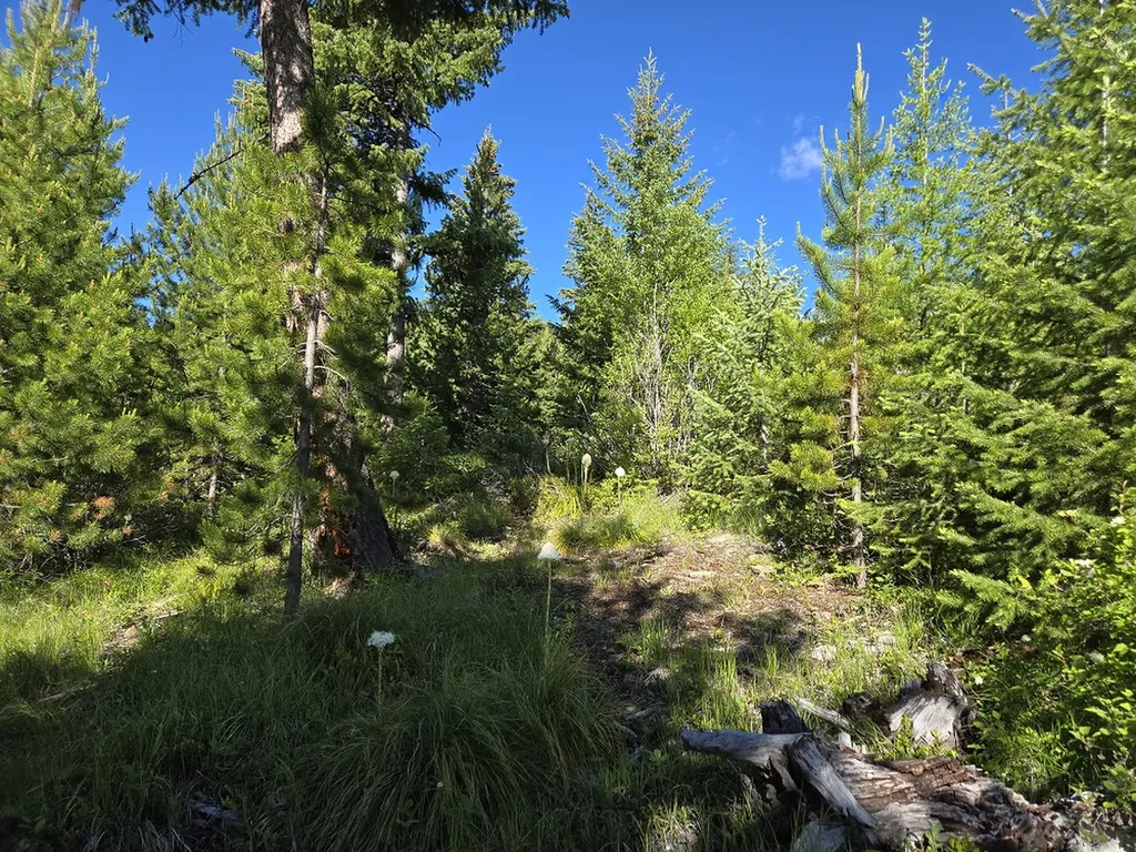 11 Nine Mile Road Huson MT 59846