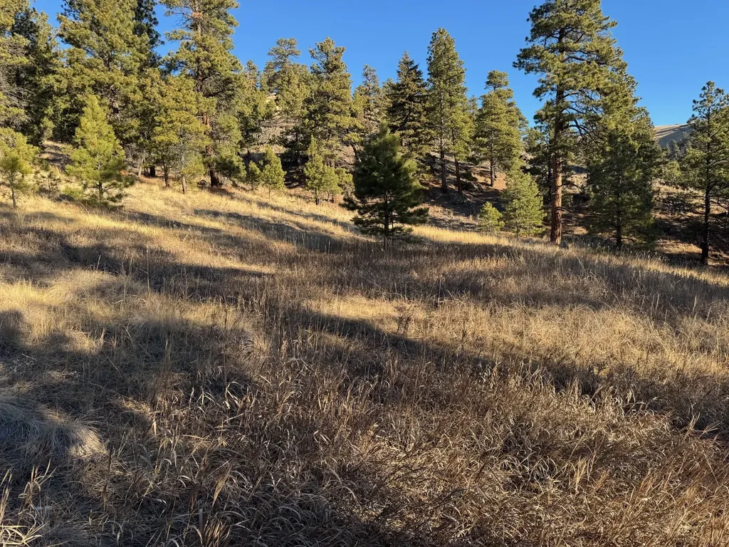 Nhn Pryor Creek Cascade MT 59421