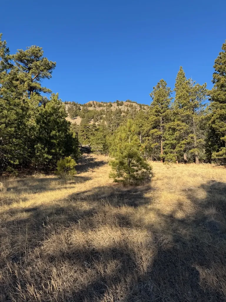 Nhn Pryor Creek Cascade MT 59421
