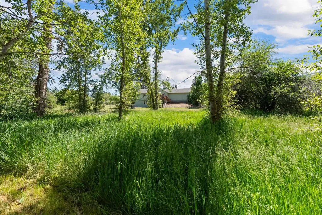292 Tie Chute Lane Florence MT 59833