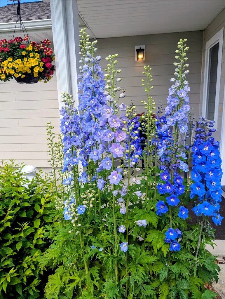 125 Leisure Drive Kalispell MT 59901