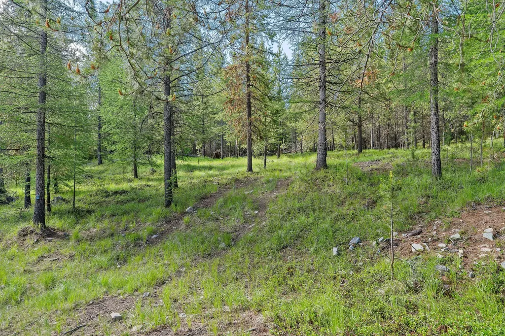 1145 S Mcgregor Lake Road Marion MT 59925