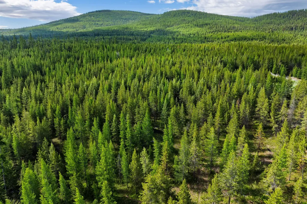 1145 S Mcgregor Lake Road Marion MT 59925