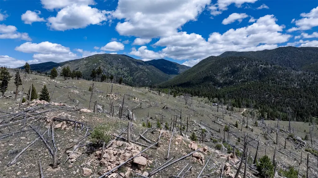 Lot 51 Nursery Creek Road Boulder MT 59632