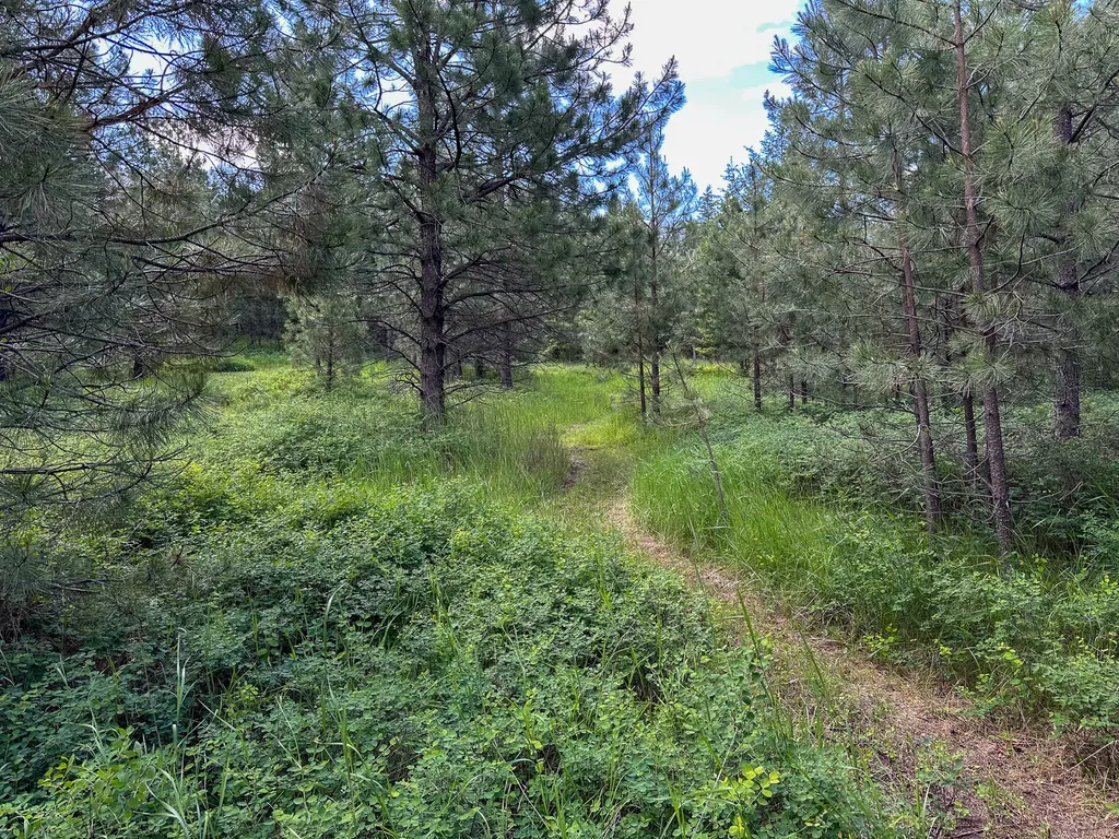 3144 Schley Creek Road Arlee MT 59821