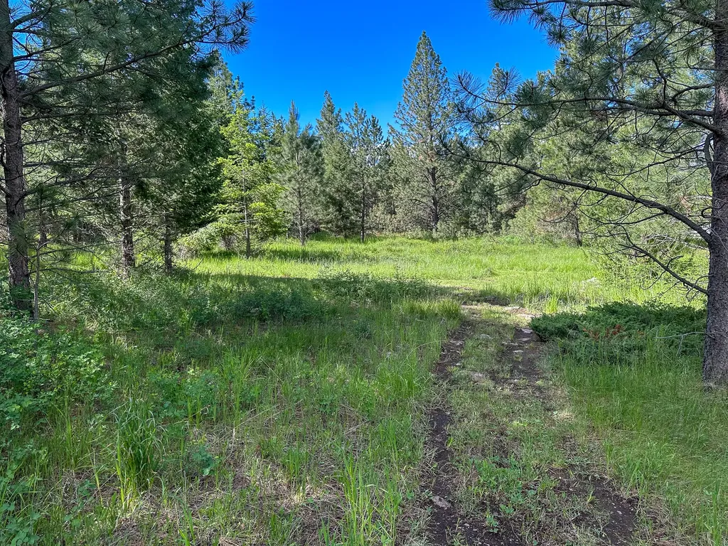 3144 Schley Creek Road Arlee MT 59821