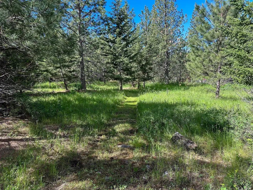 3144 Schley Creek Road Arlee MT 59821