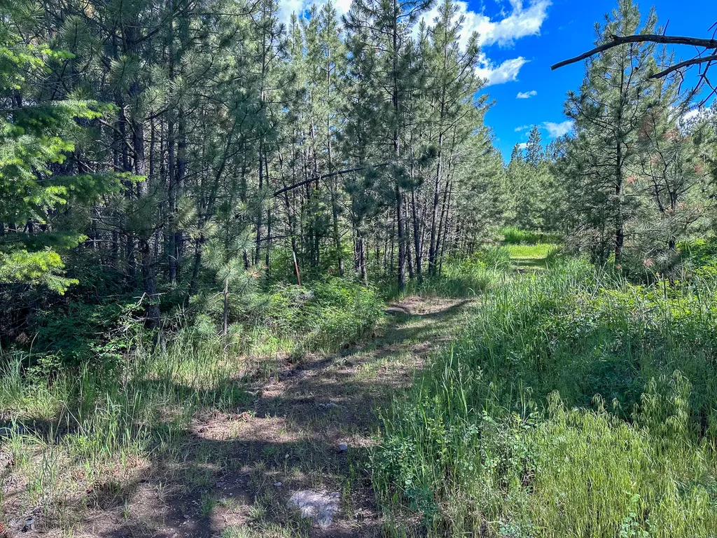 3144 Schley Creek Road Arlee MT 59821