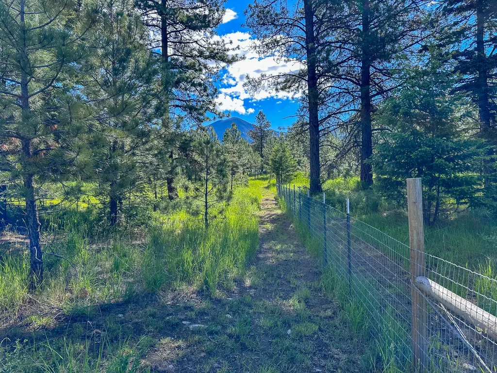 3144 Schley Creek Road Arlee MT 59821