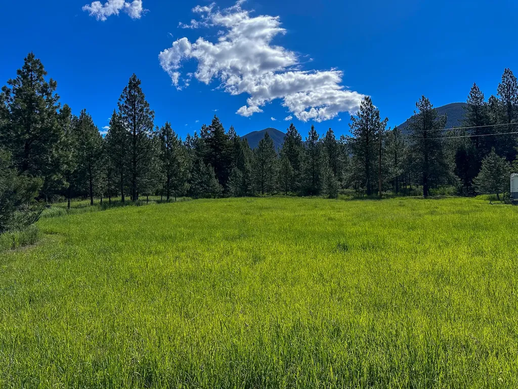 3144 Schley Creek Road Arlee MT 59821