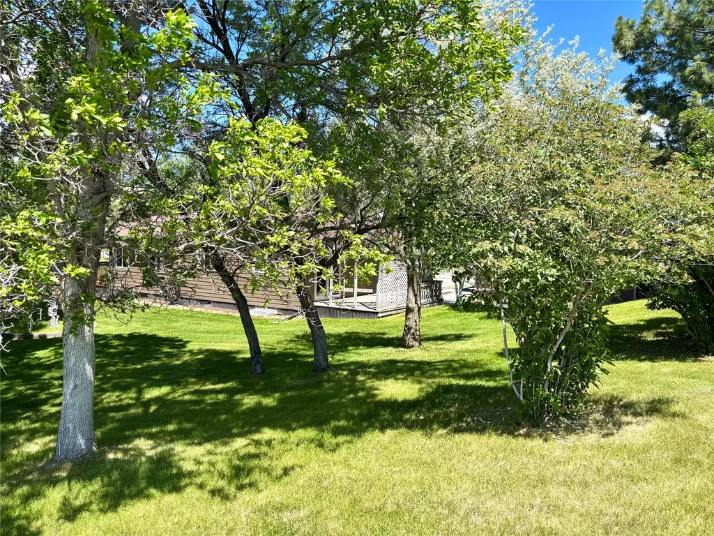 5945 Heartache Road East Helena MT 59635