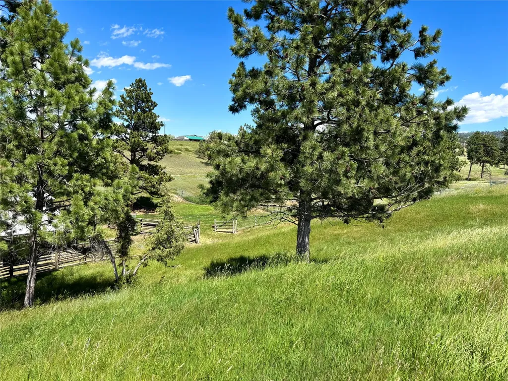 5945 Heartache Road East Helena MT 59635