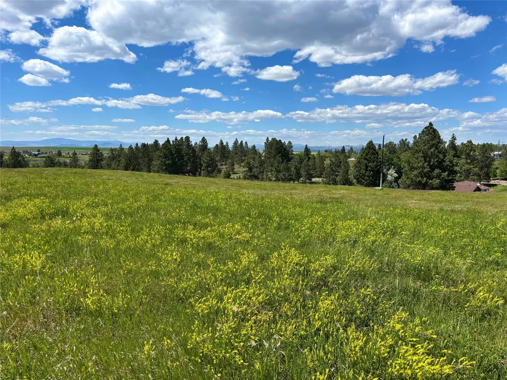5945 Heartache Road East Helena MT 59635