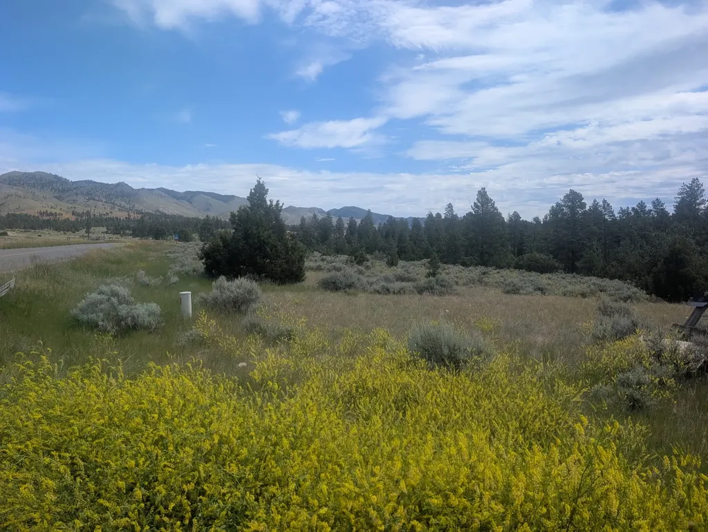 8685 Canyon Ferry Road Helena MT 59602