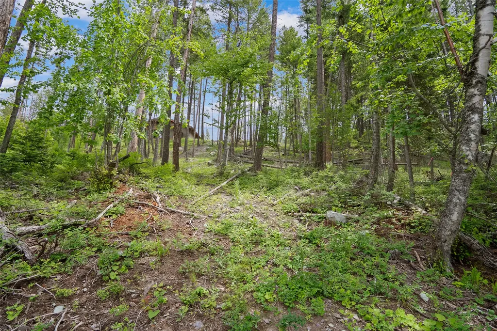 248 Jennings Lakeside Road Whitefish MT 59937