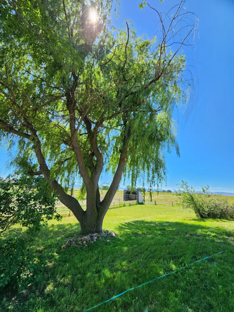37251 Little Marten Road Ronan MT 59864