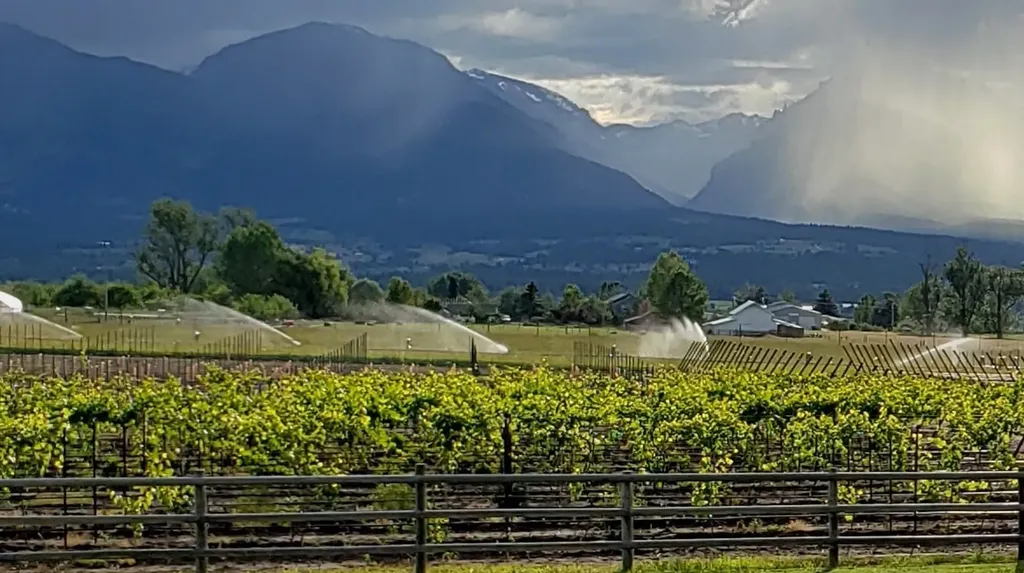Nhn - Lot B Mountain View Orchard Road Corvallis MT 59828