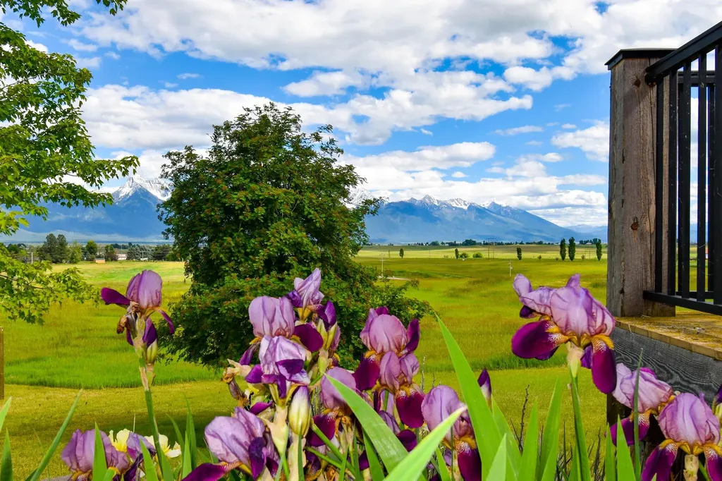 38614 Round Butte Road Ronan MT 59864