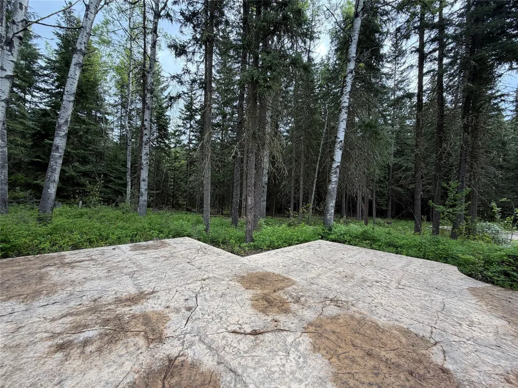 32647 Pine Meadow Drive Bigfork MT 59911