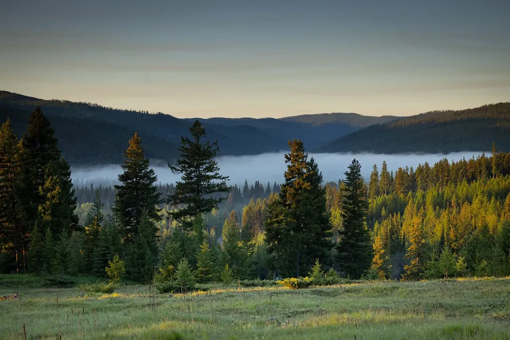 4475 & 4505 Star Meadows Road Whitefish MT 59937