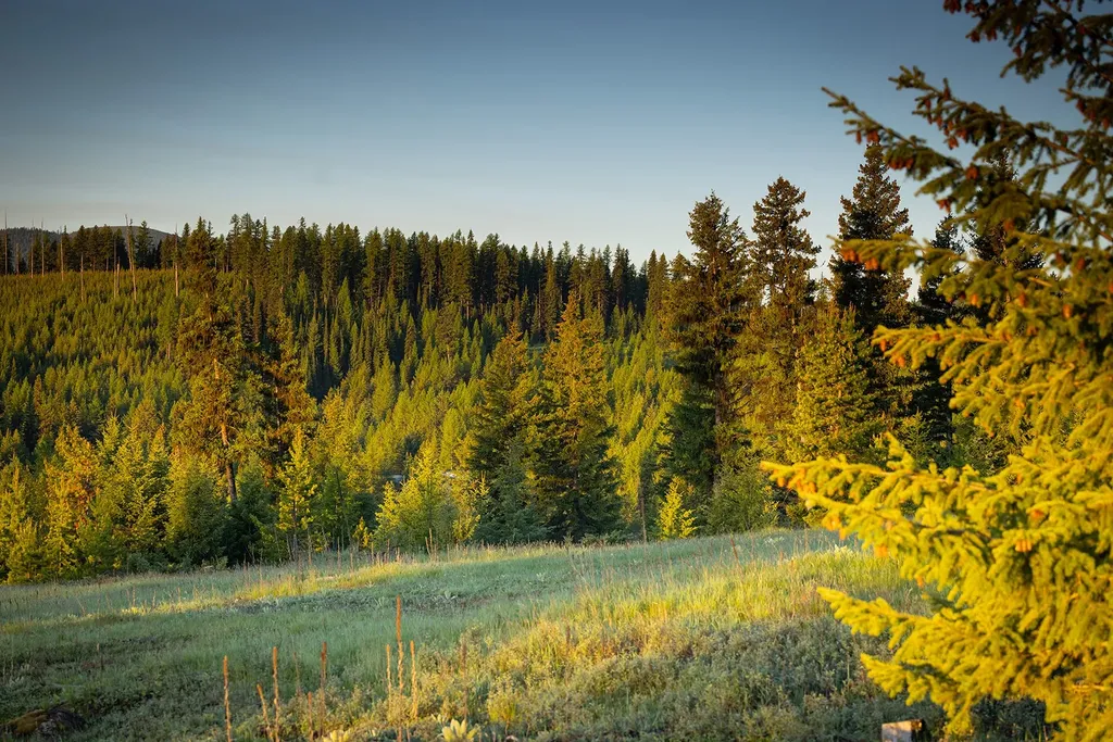 4475 & 4505 Star Meadows Road Whitefish MT 59937