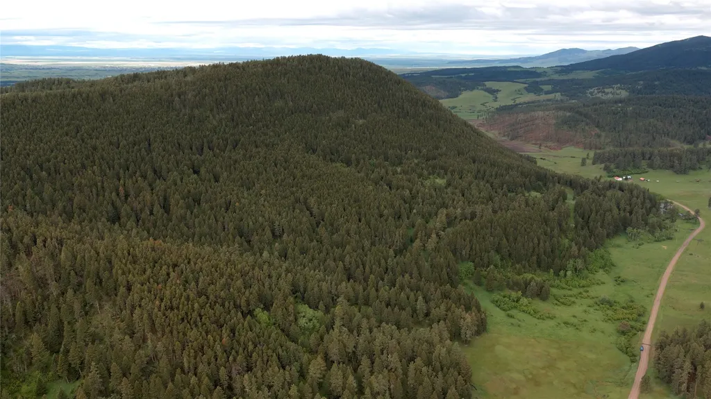 Nhn Gilt Edge Stage Road Lewistown MT 59457