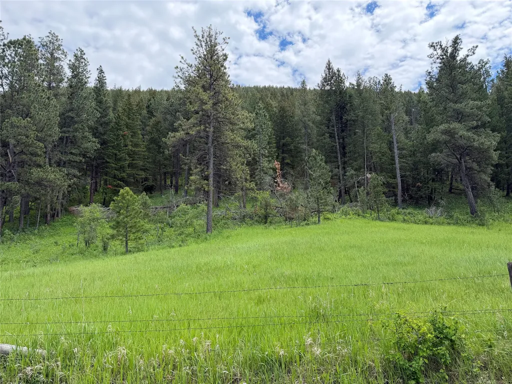 Nhn Gilt Edge Stage Road Lewistown MT 59457