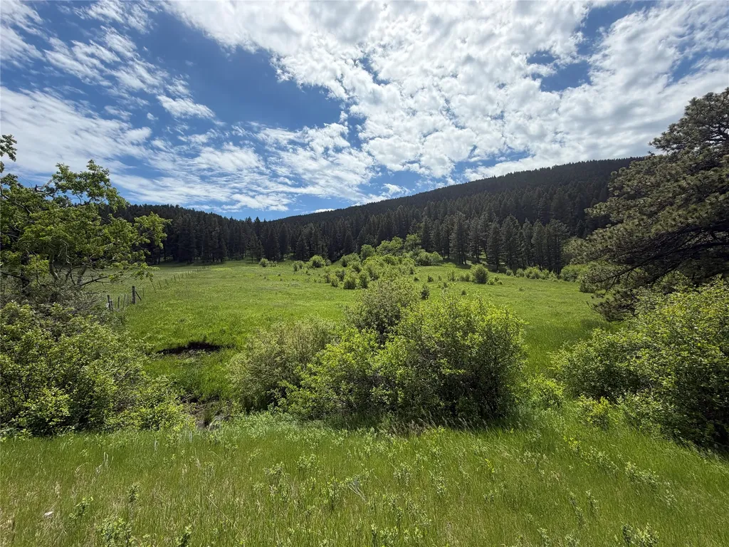 Nhn Gilt Edge Stage Road Lewistown MT 59457