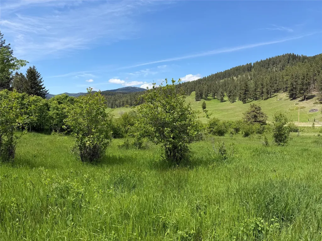 Nhn Gilt Edge Stage Road Lewistown MT 59457